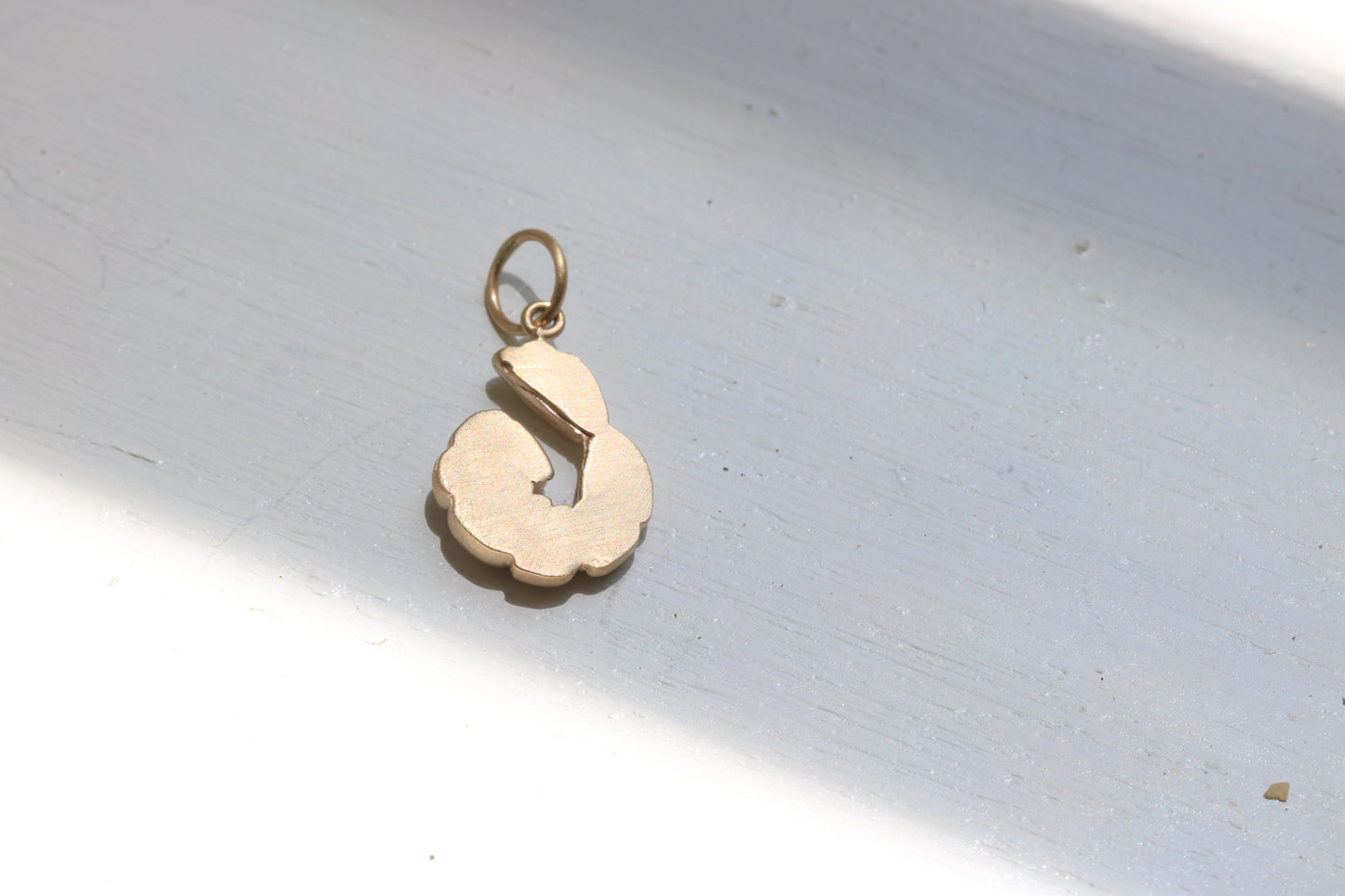 Shrimp Charm