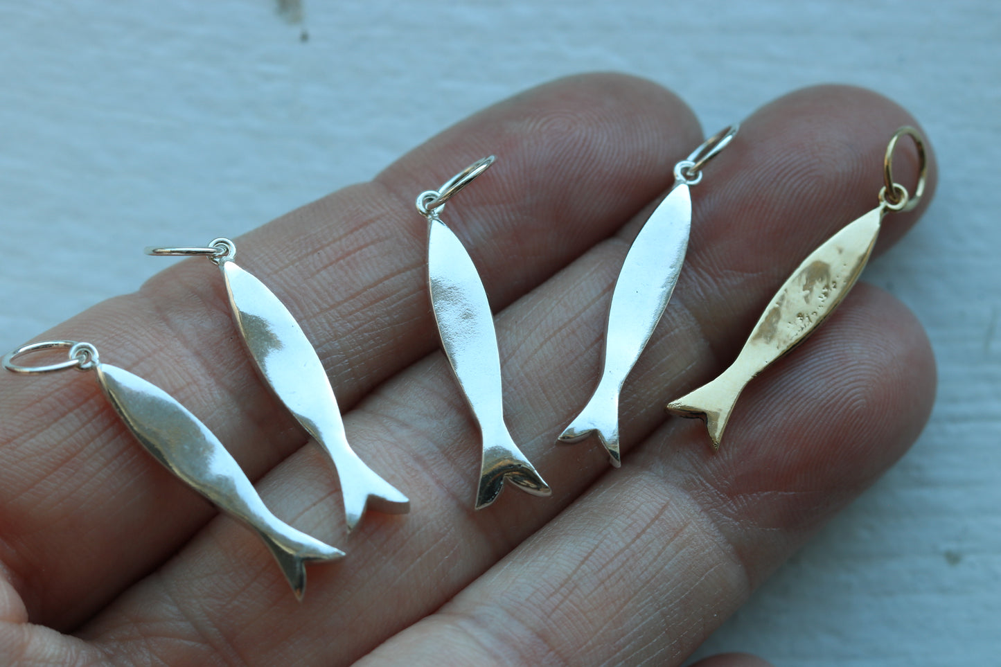Sardine Silver #4