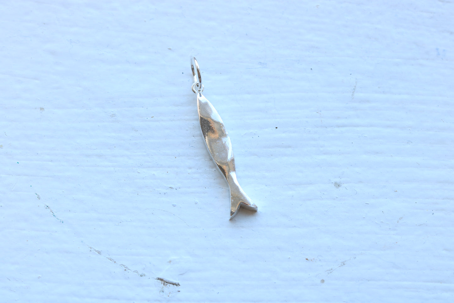Sardine Silver #4