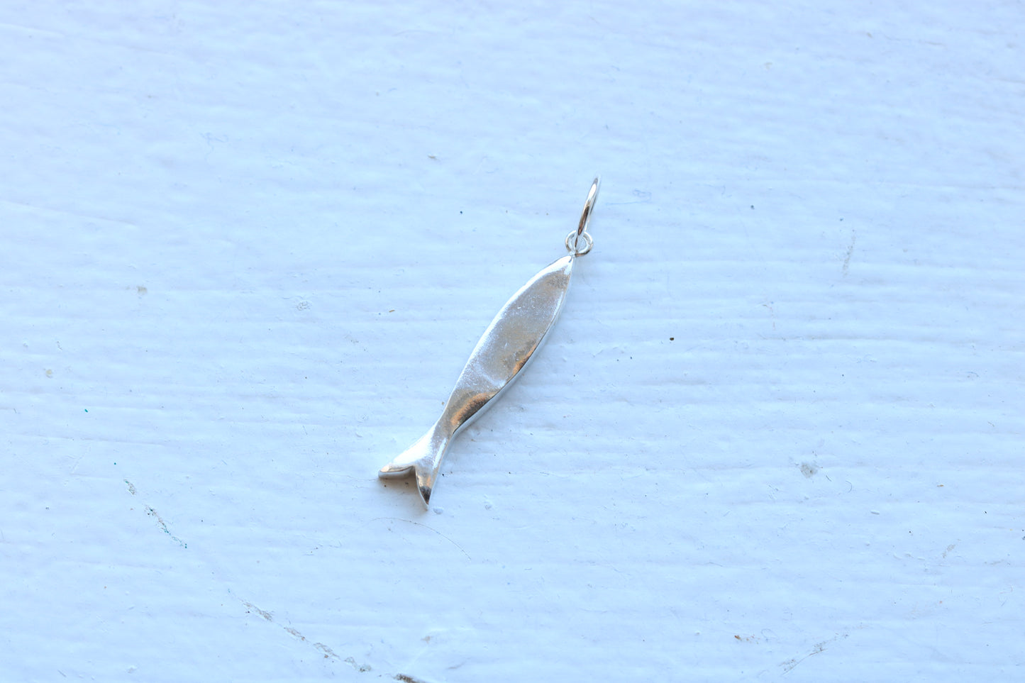 Sardine Silver #2